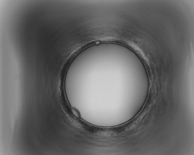 X0000116880201200912220951