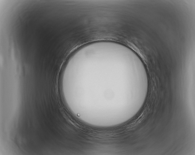 X0000116880203200912220951