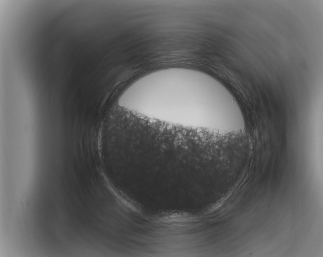 X0000116880210200912220951