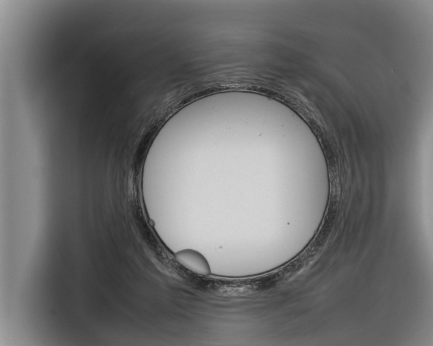 X0000116880213200912220951