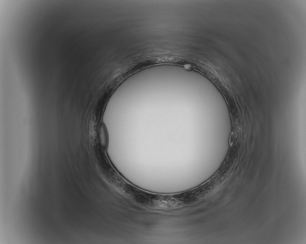 X0000116880215200912220951