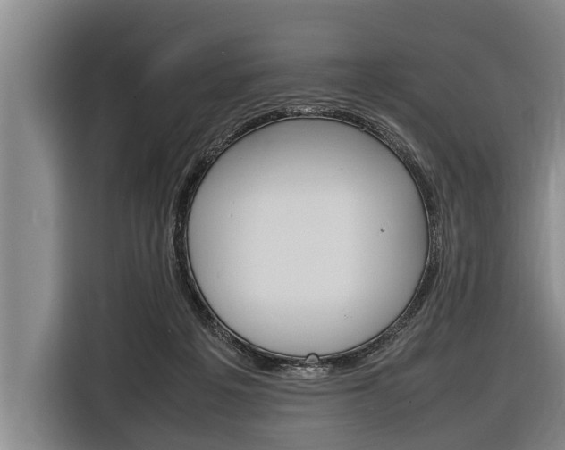 X0000116880217200912220951