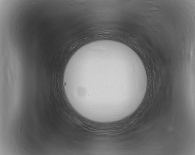 X0000116880219200912220951