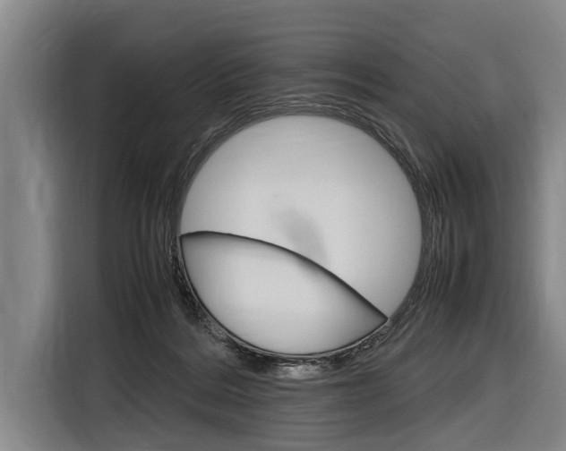 X0000116880220200912220951