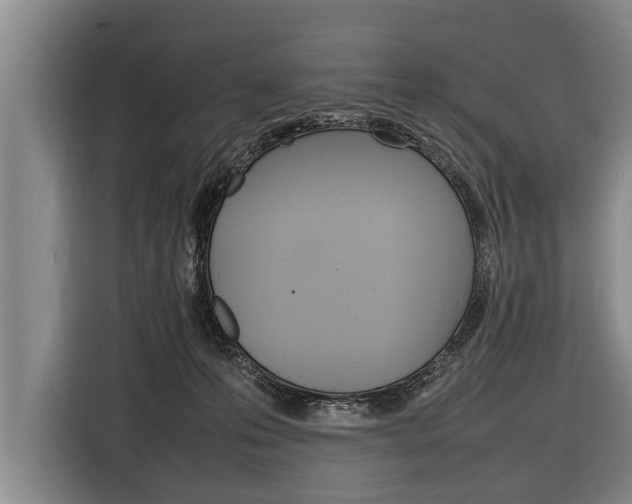 X0000116880223200912220951