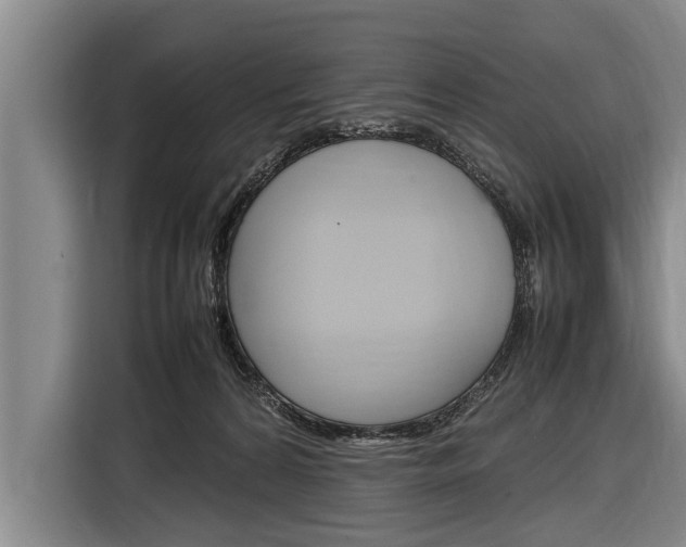 X0000116880224200912220951