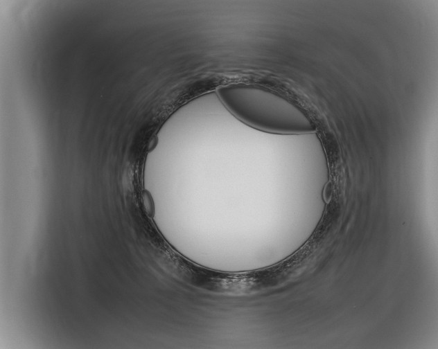 X0000116880225200912220951