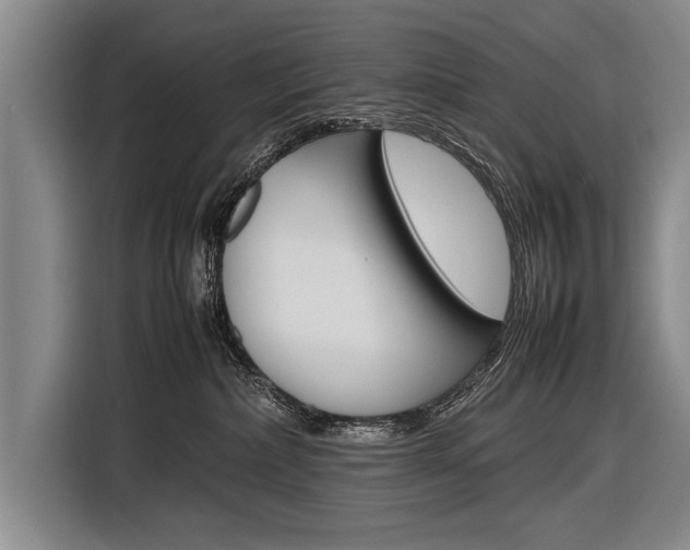 X0000116880236200912220950