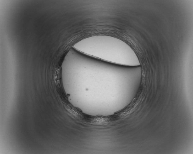 X0000116880237200912220950