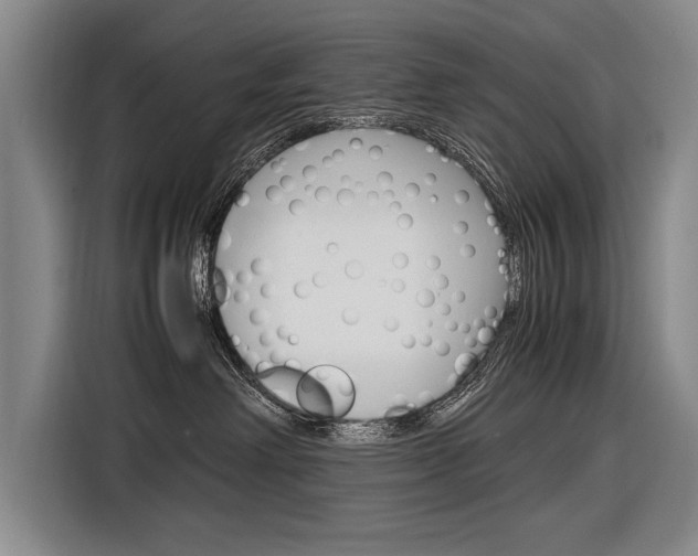 X0000116880238200912220950