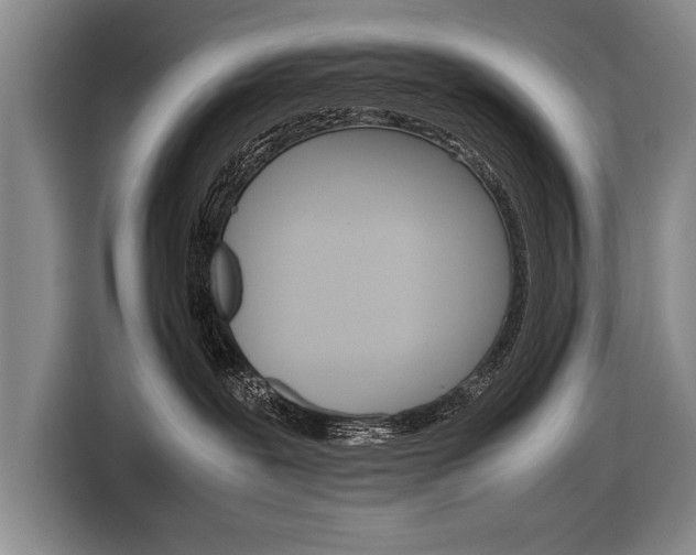 X0000116880239200912220950