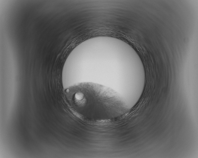 X0000116880240200912220950