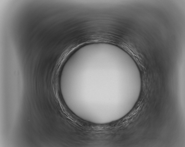 X0000116880241200912220950