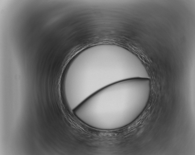 X0000116880242200912220950