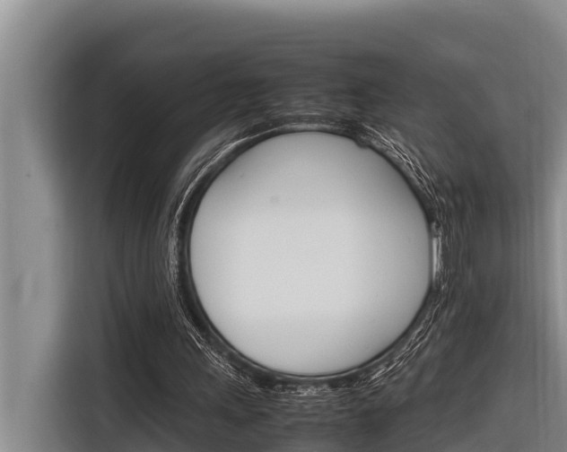 X0000116880243200912220950