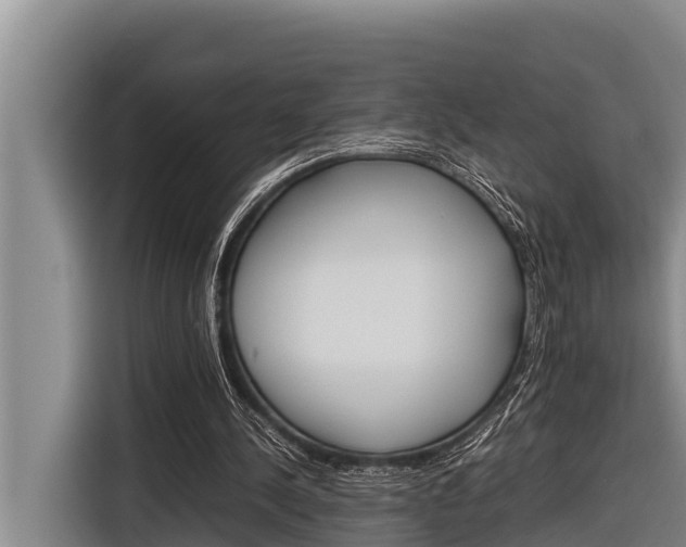 X0000116880244200912220950