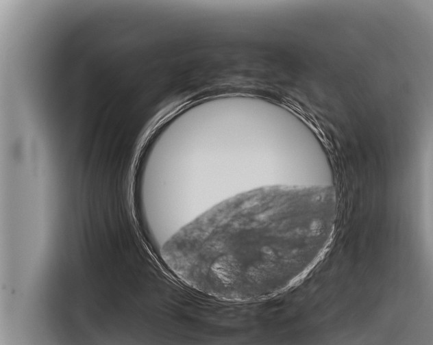 X0000116880245200912220950