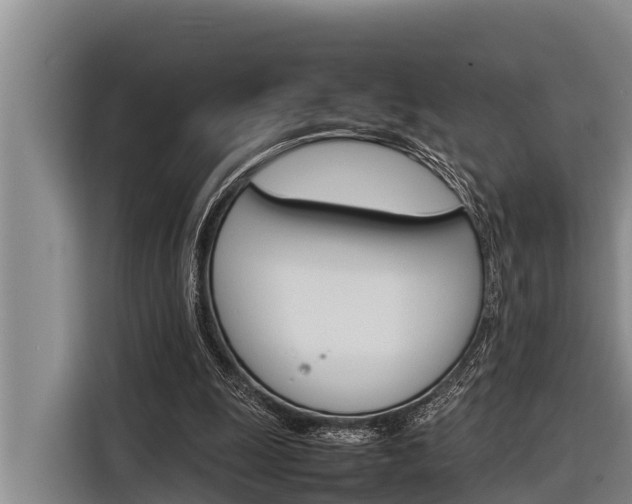 X0000116880247200912220950
