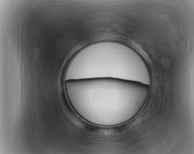 X0000116880250200912220950