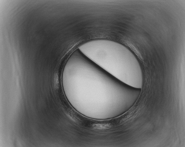 X0000116880251200912220950