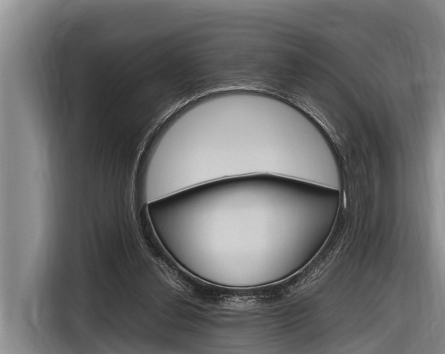 X0000116880252200912220950