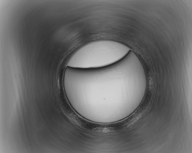 X0000116880254200912220950