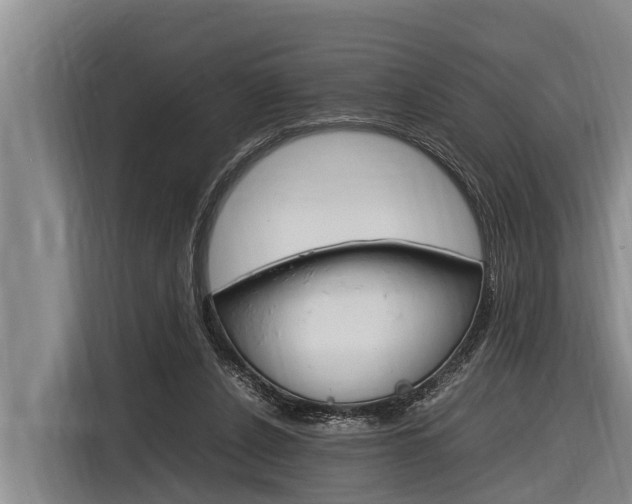 X0000116880256200912220950