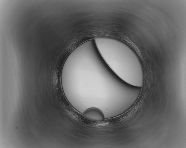 X0000116880257200912220950