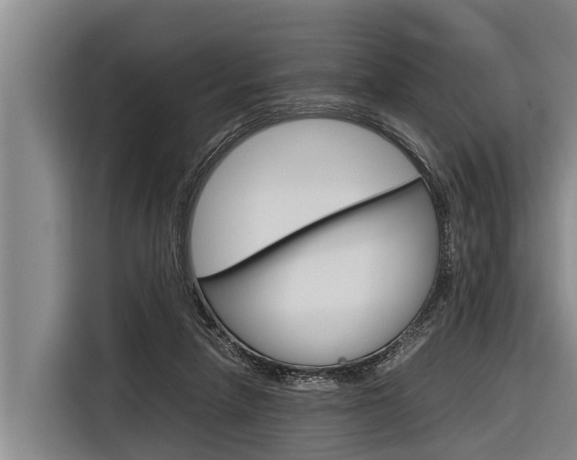 X0000116880258200912220950
