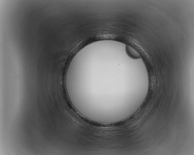 X0000116880259200912220950