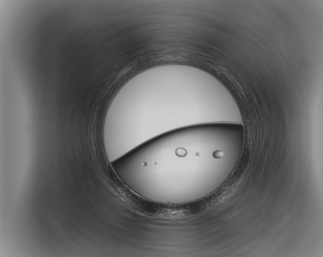 X0000116880260200912220950