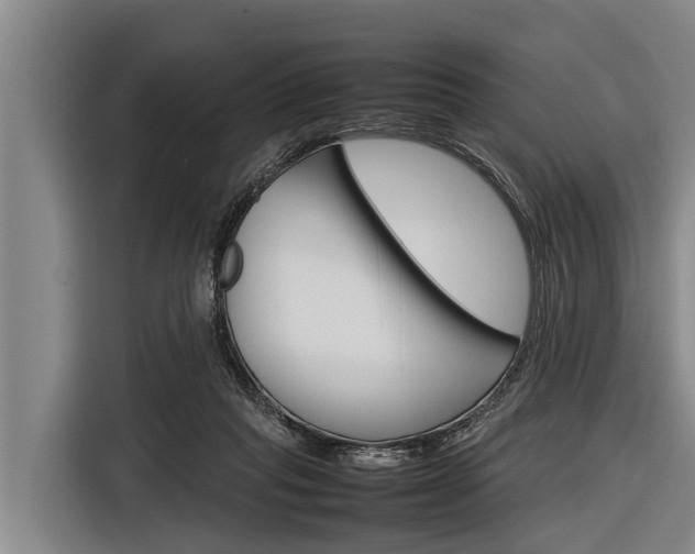 X0000116880261200912220950