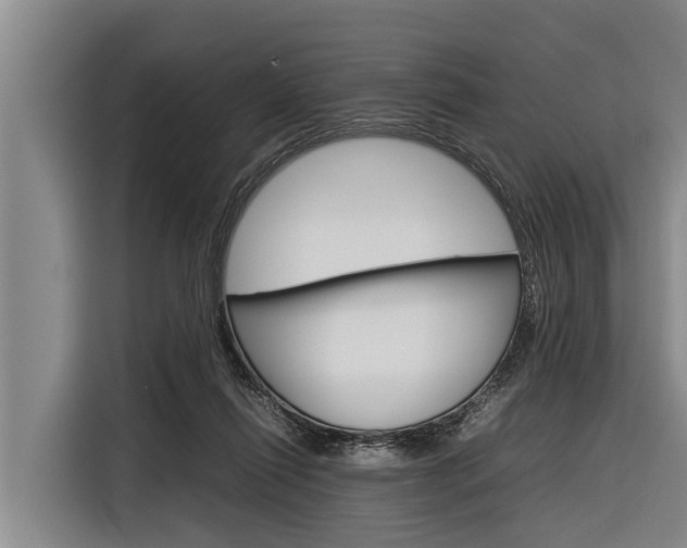 X0000116880262200912220950