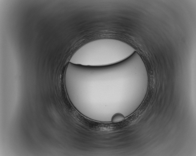 X0000116880263200912220950