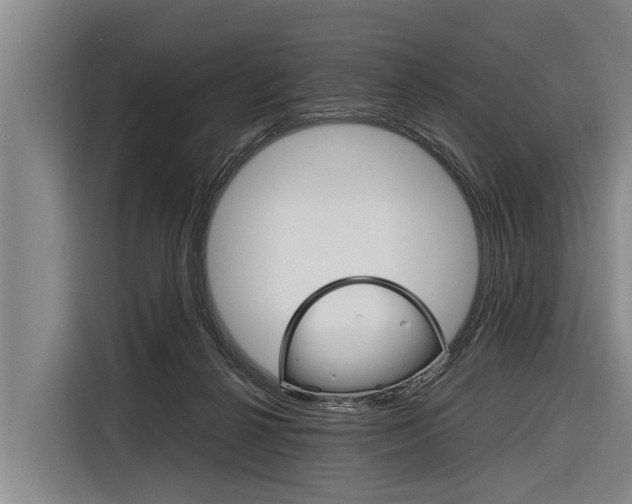 X0000116880264200912220950
