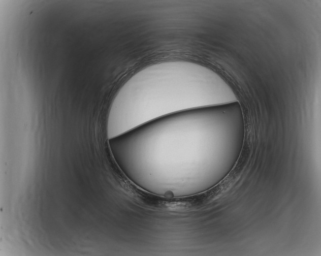 X0000116880268200912220950
