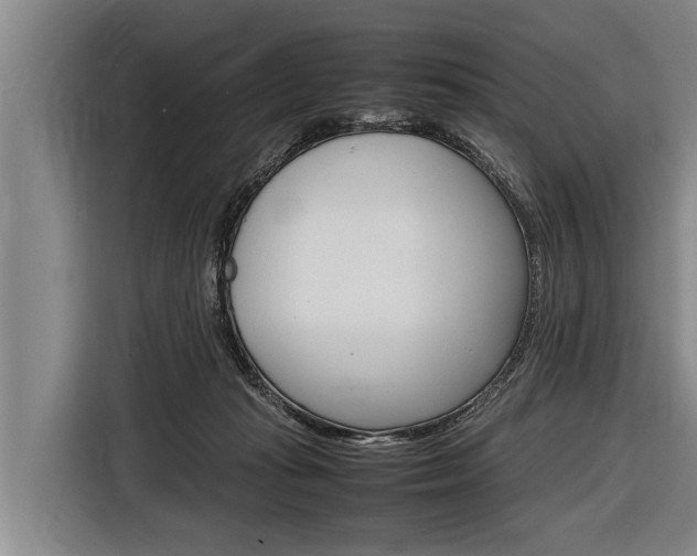 X0000116880269200912220950