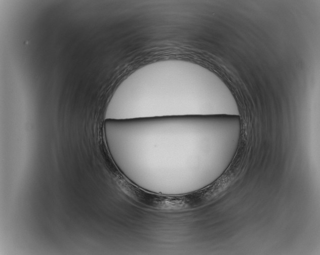 X0000116880270200912220950