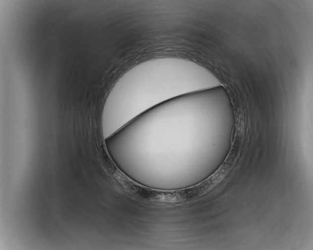 X0000116880272200912220950