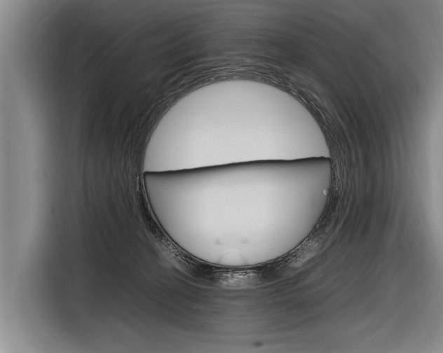 X0000116880274200912220950