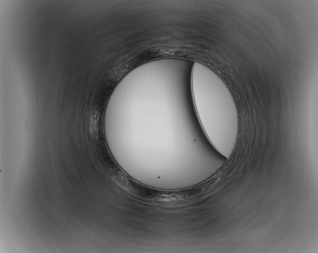 X0000116880275200912220950