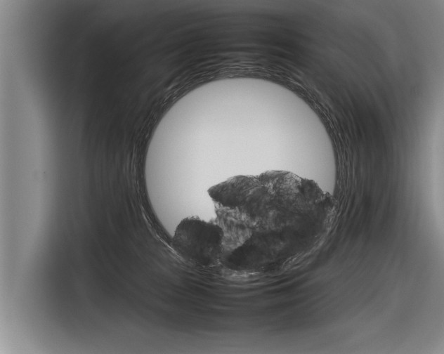 X0000116880277200912220950