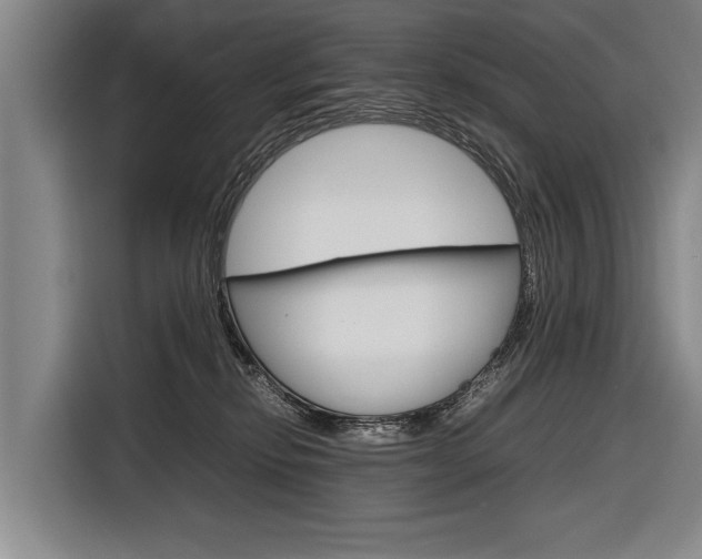 X0000116880278200912220950