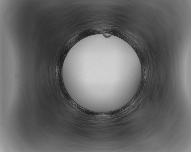 X0000116880279200912220950