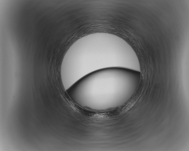X0000116880280200912220950