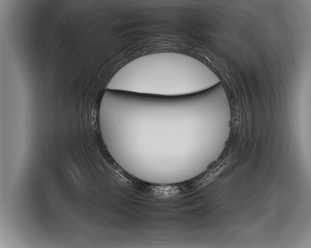 X0000116880281200912220950