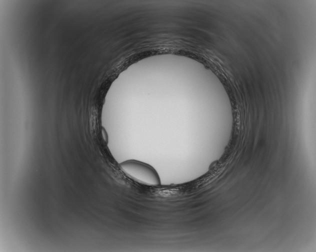 X0000116880283200912220950