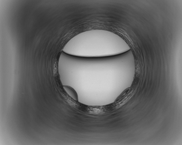 X0000116880285200912220950