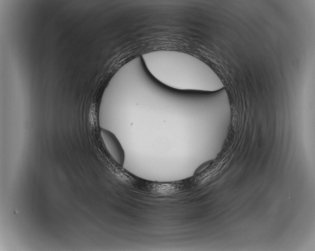 X0000116880287200912220950