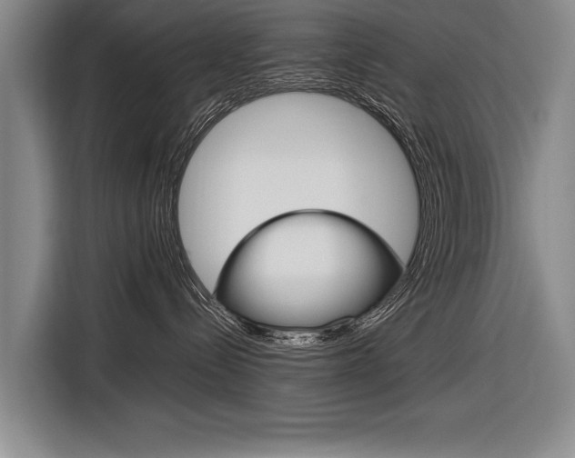 X0000116880288200912220950